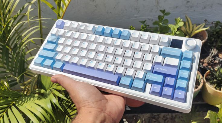 KEYBOARD HIT TREND